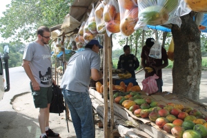 Purchasing fruit from a local vendor for the centers.